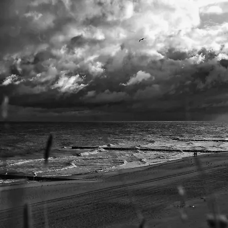 Osrodek Wczasowy Alcest 리조트 니에초르체