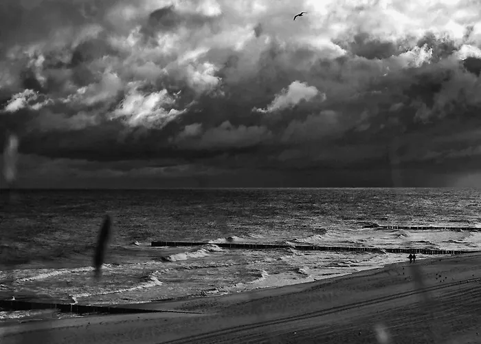 Osrodek Wczasowy Alcest منتجع نيخوجة