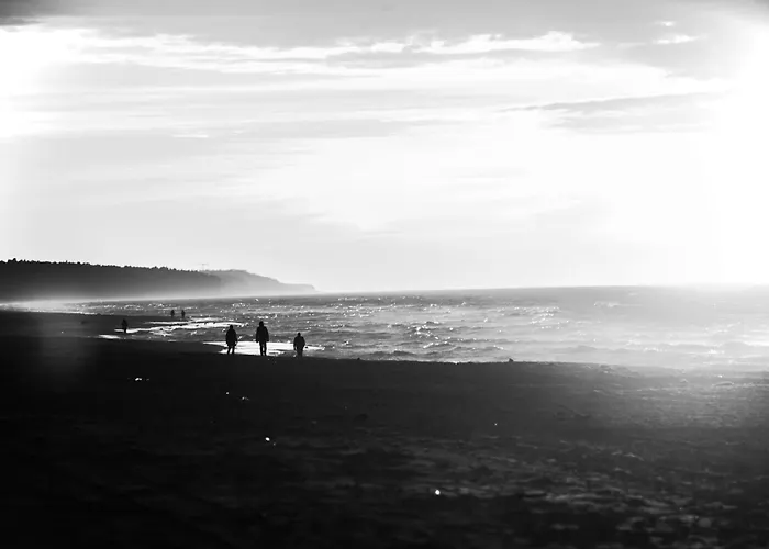 Osrodek Wczasowy Alcest 度假村