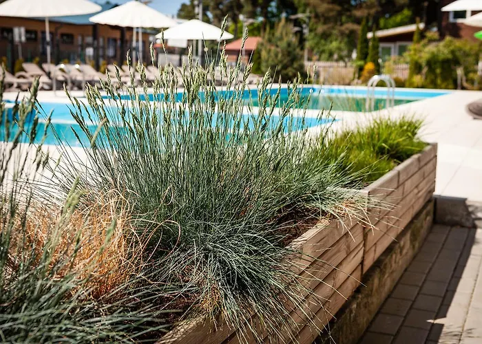 منتجع Osrodek Wczasowy Alcest 3*